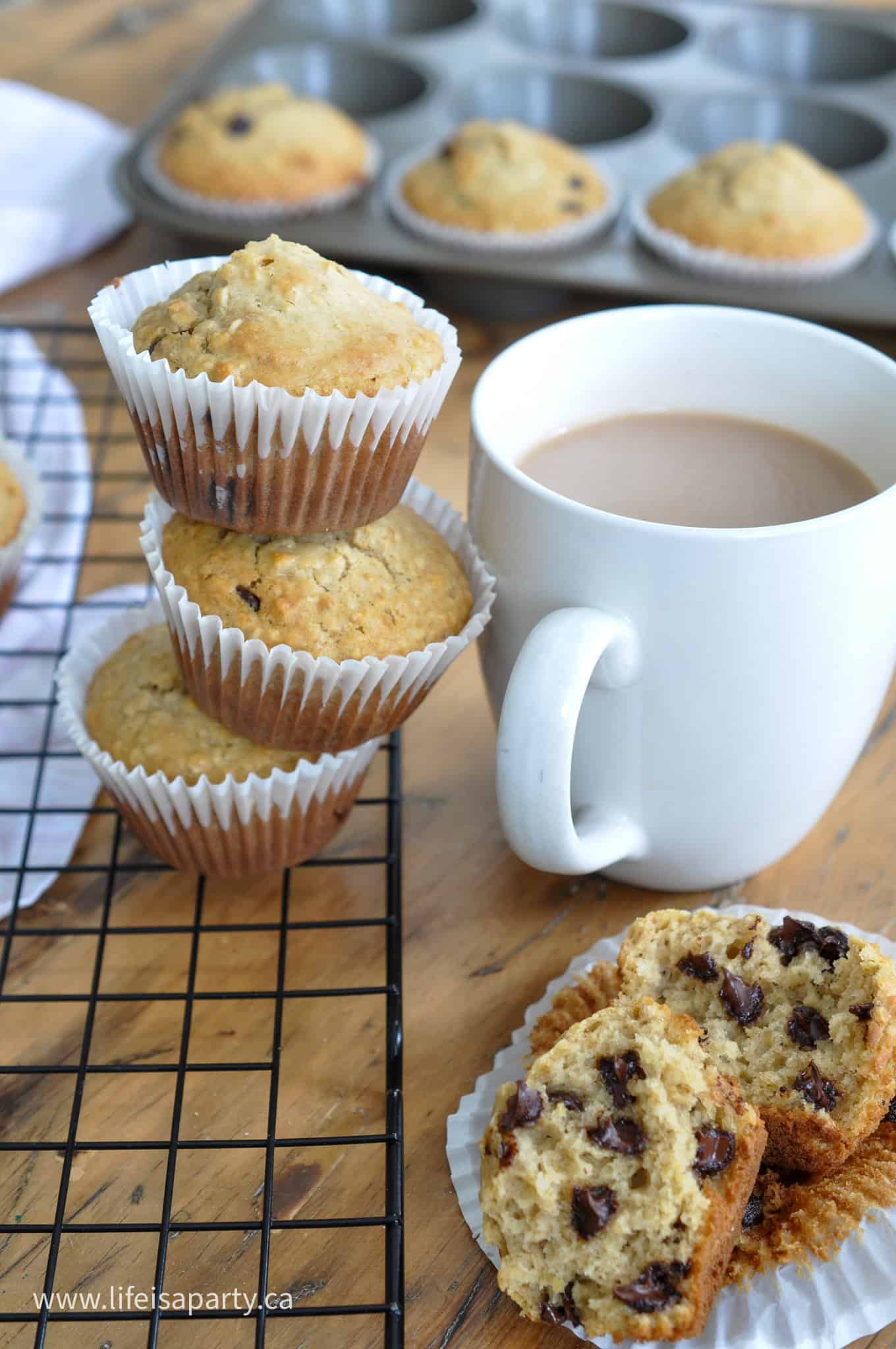 chocolate chip and oatmeal muffin recipe