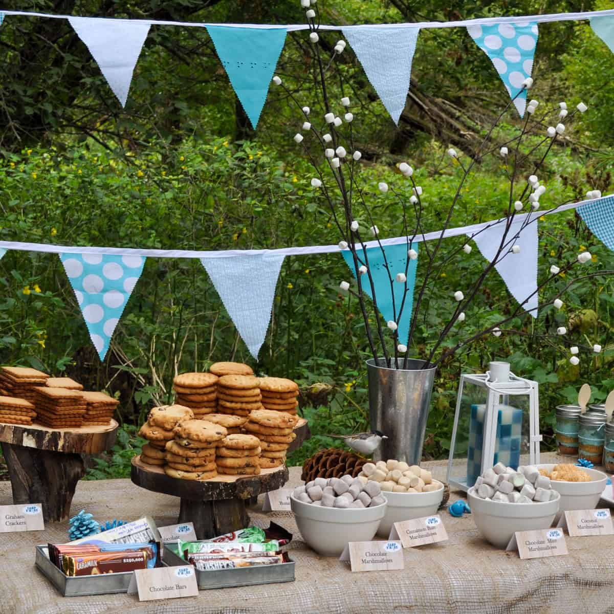 Camp S'more camping themed birthday party ideas.