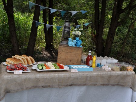 camping themed birthday party