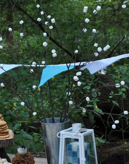 camping themed birthday party