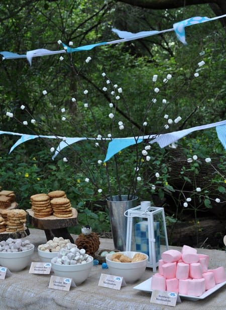 camping themed birthday party