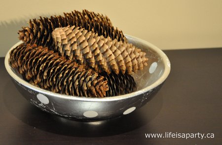 pine cones