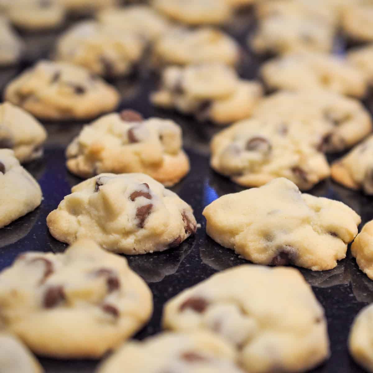 Chocolate chip shortbread cookie recipe.