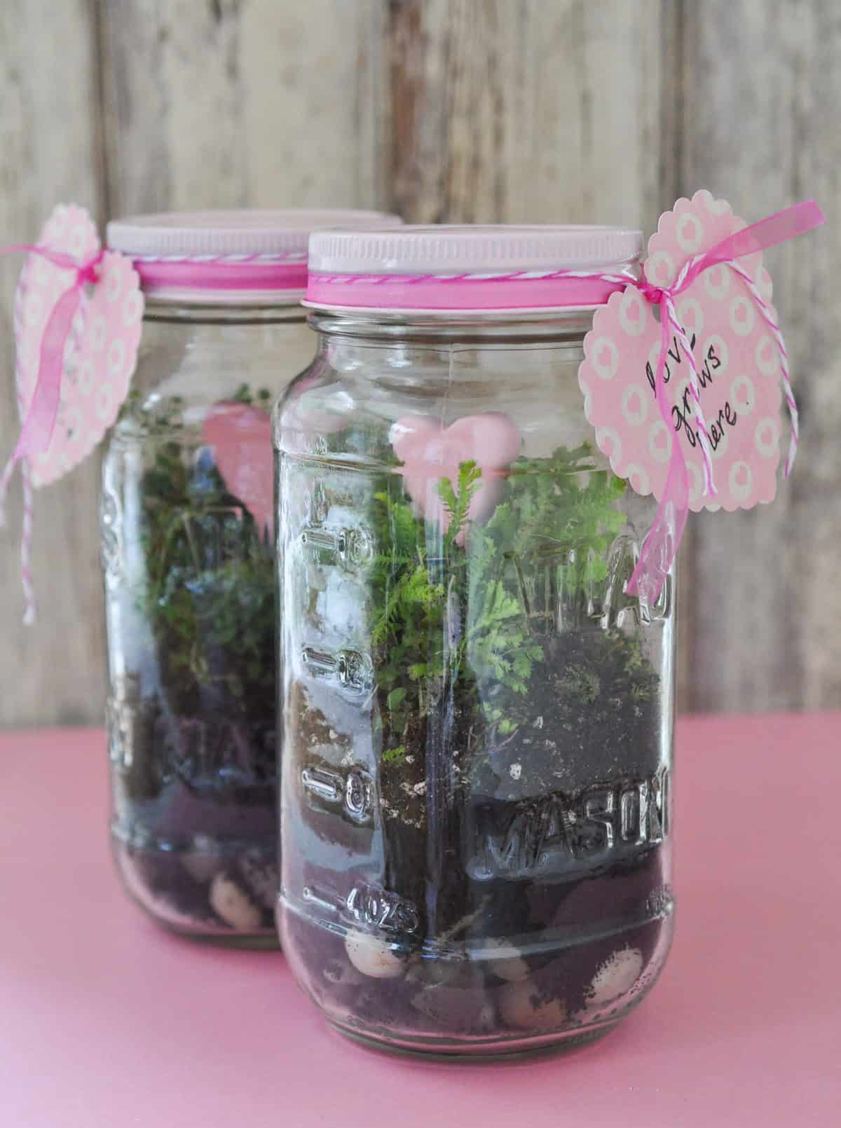 How to make a terrarium in a mason jar.