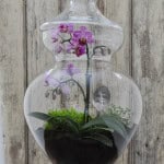 How to make a terrarium.