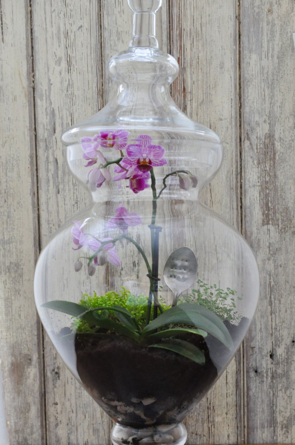 How to make a terrarium.