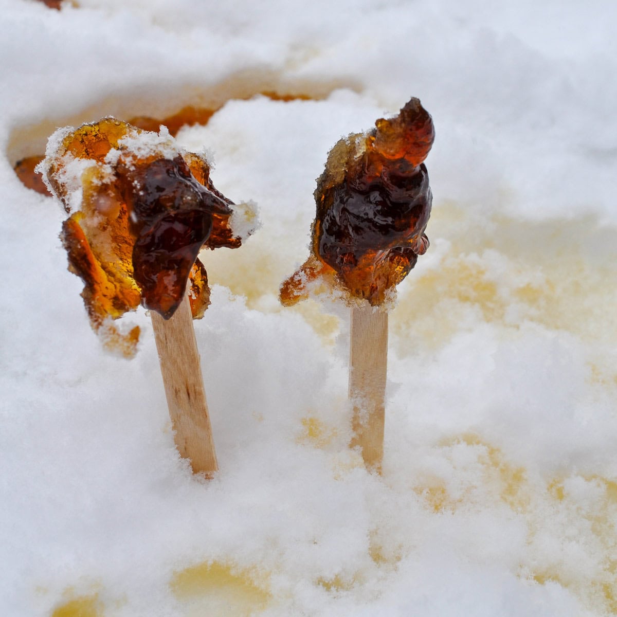 How to make maple syrup taffy.