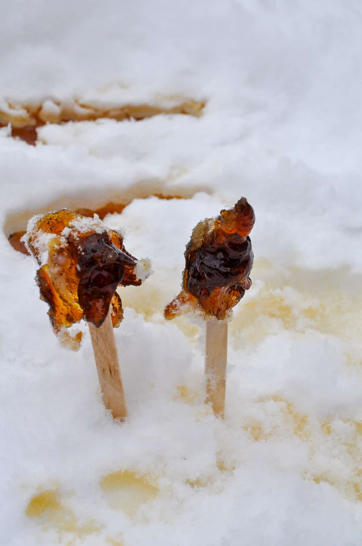 Maple syrup taffy candy.