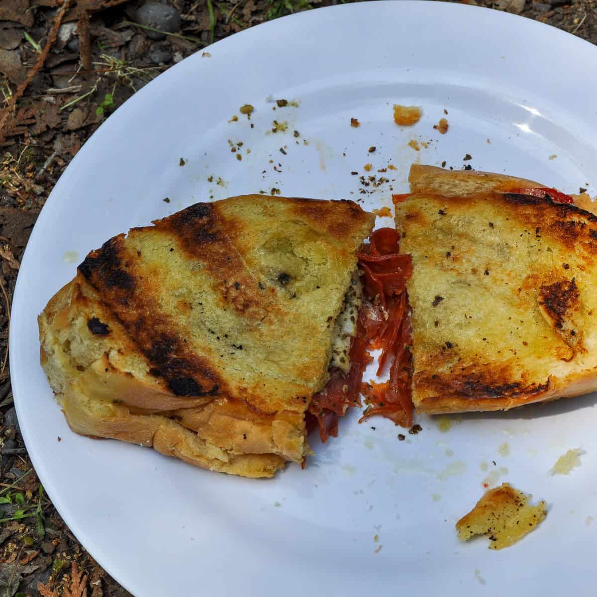 Campfire paninis.