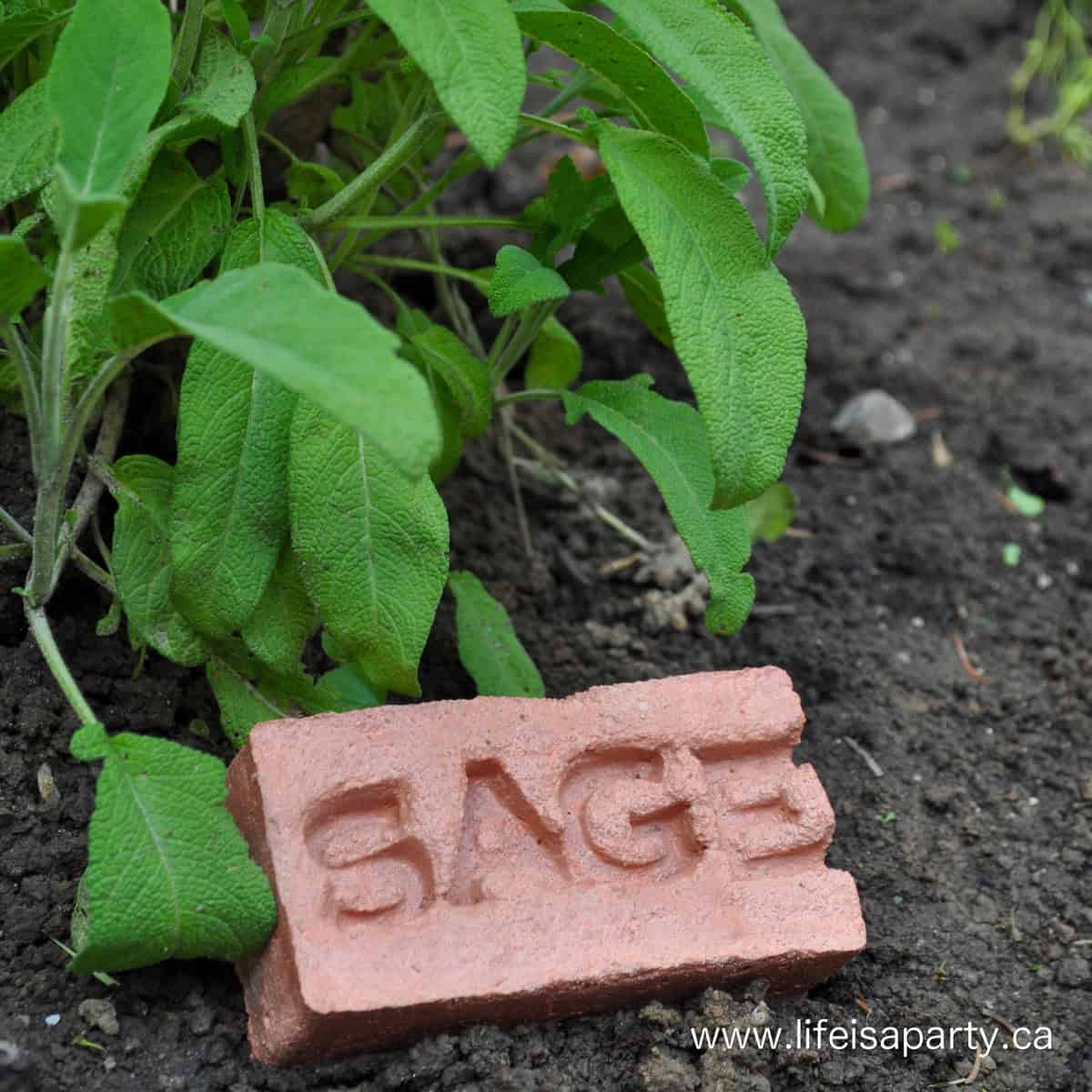 DIY cement garden markers.