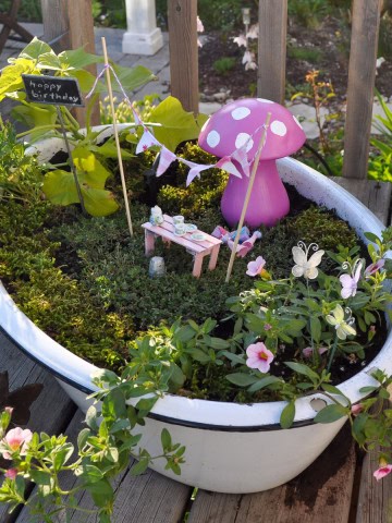 How to make a fairy garden in a container.