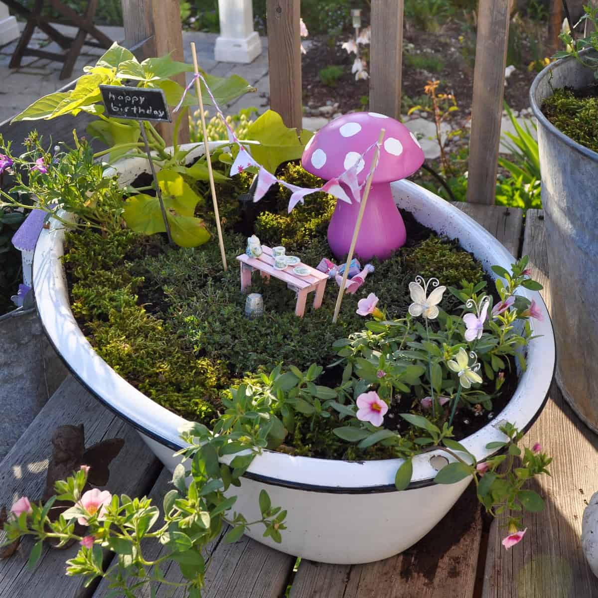 How to make a fairy garden in a container.