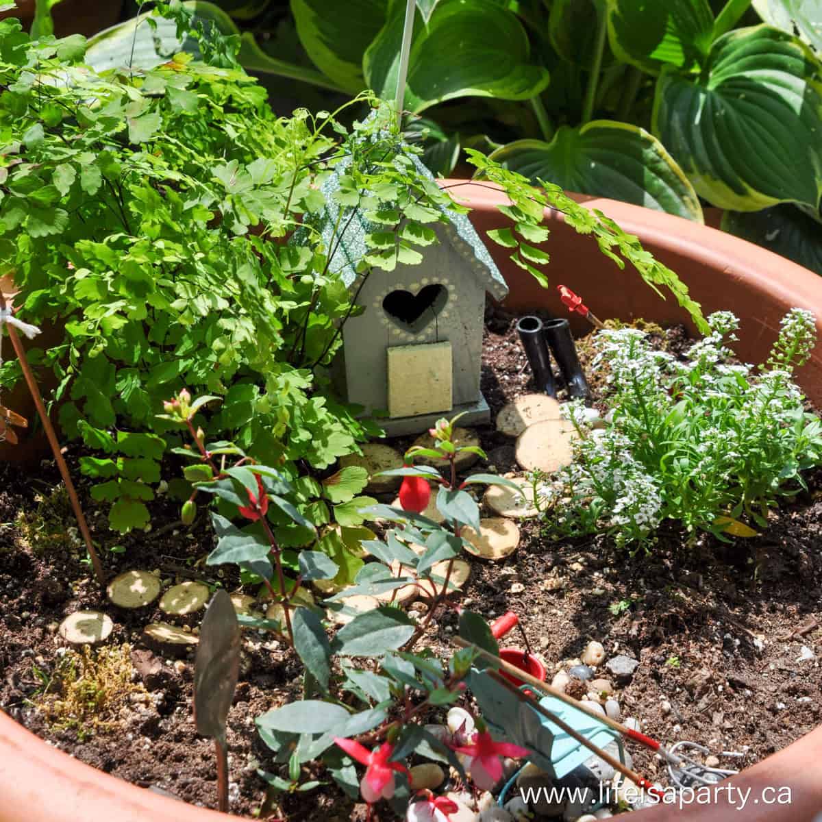 Fairy garden for shade area.