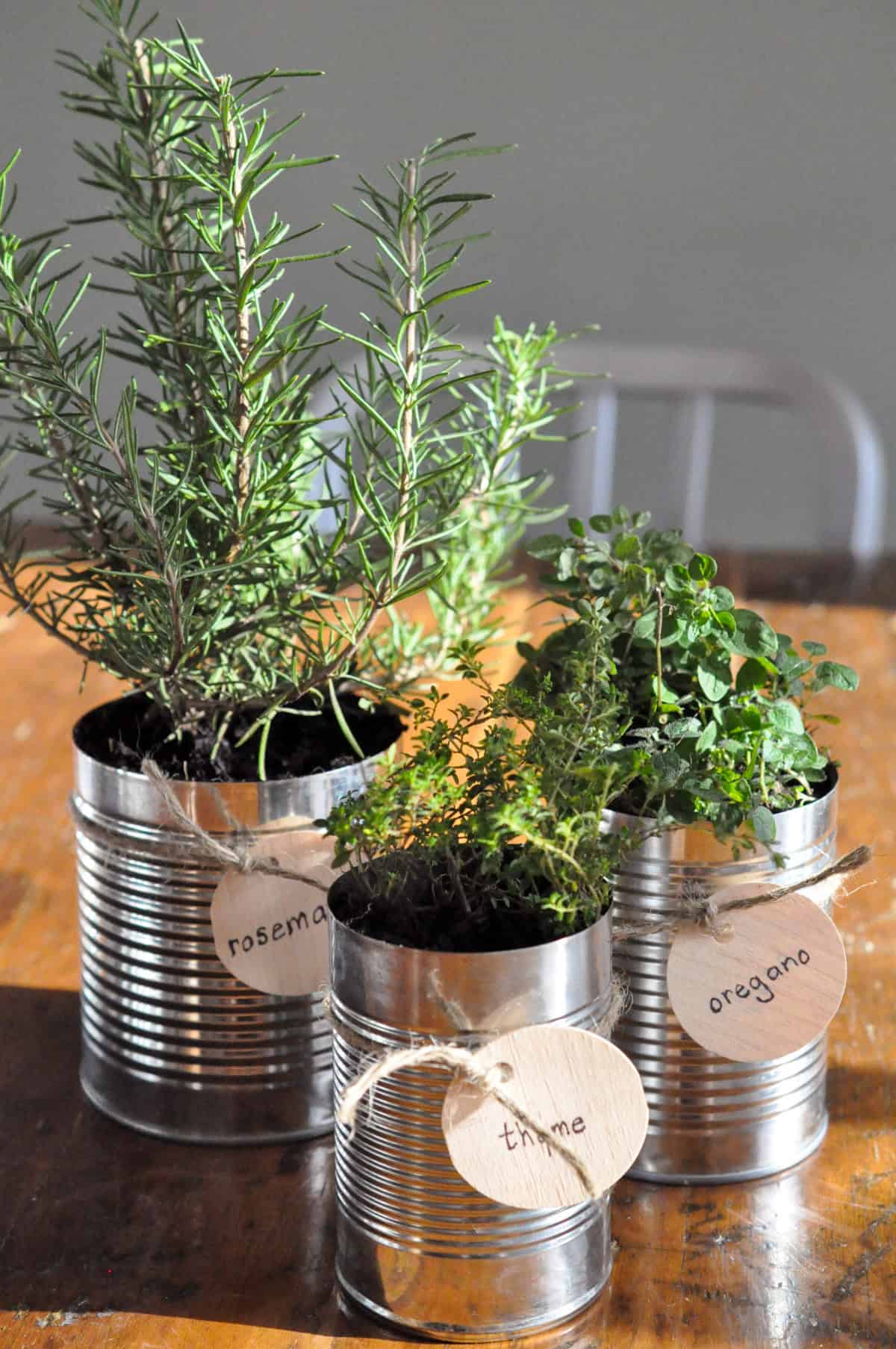 Tin can herb garden.