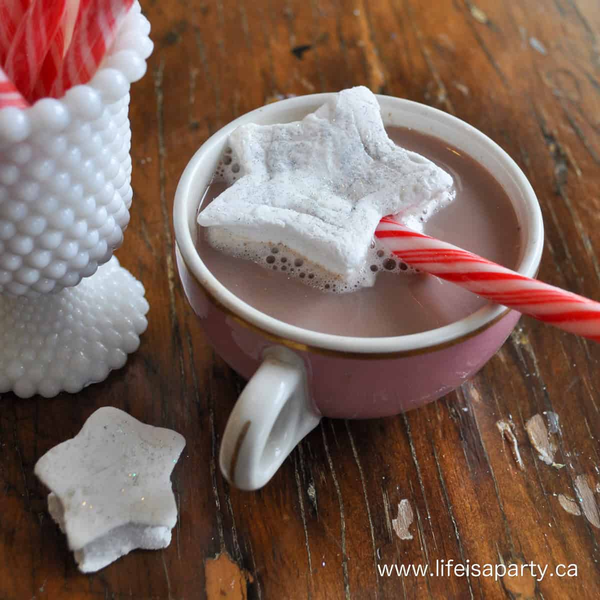 Homemade marshmallow fairy wands.