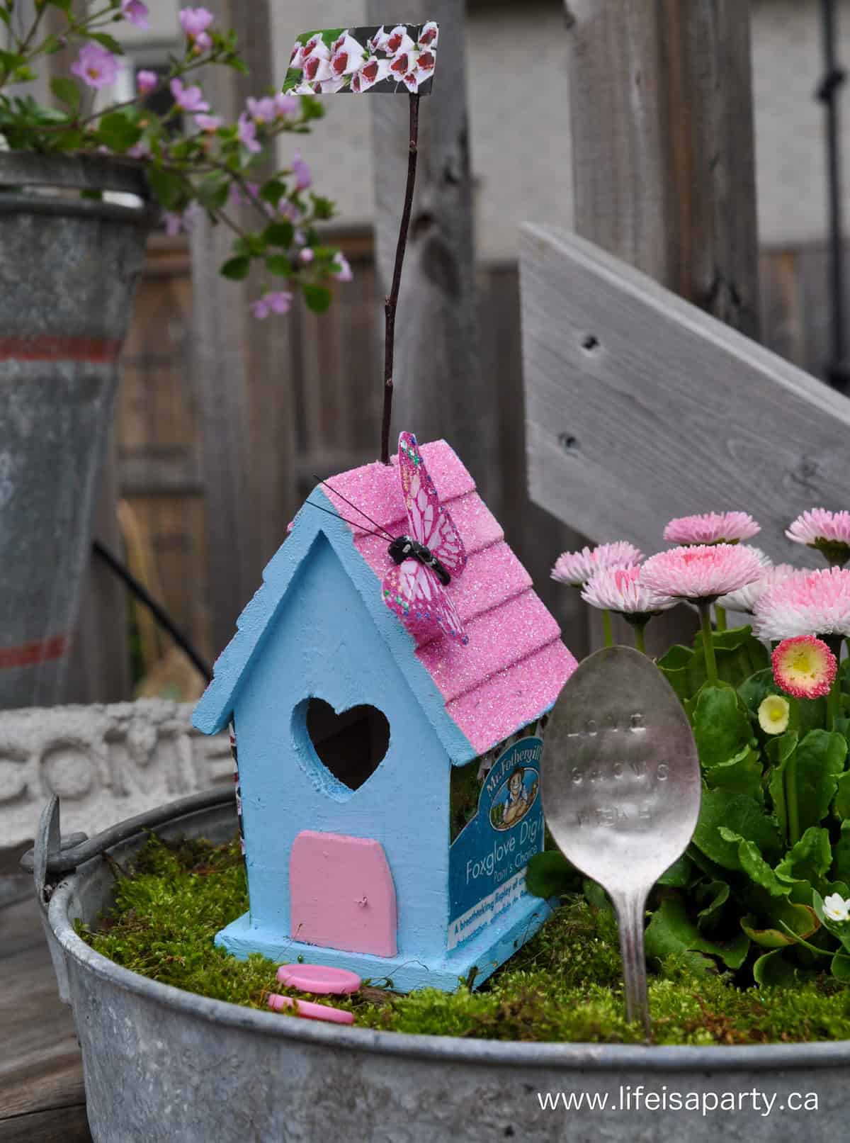 How to make a fairy garden.