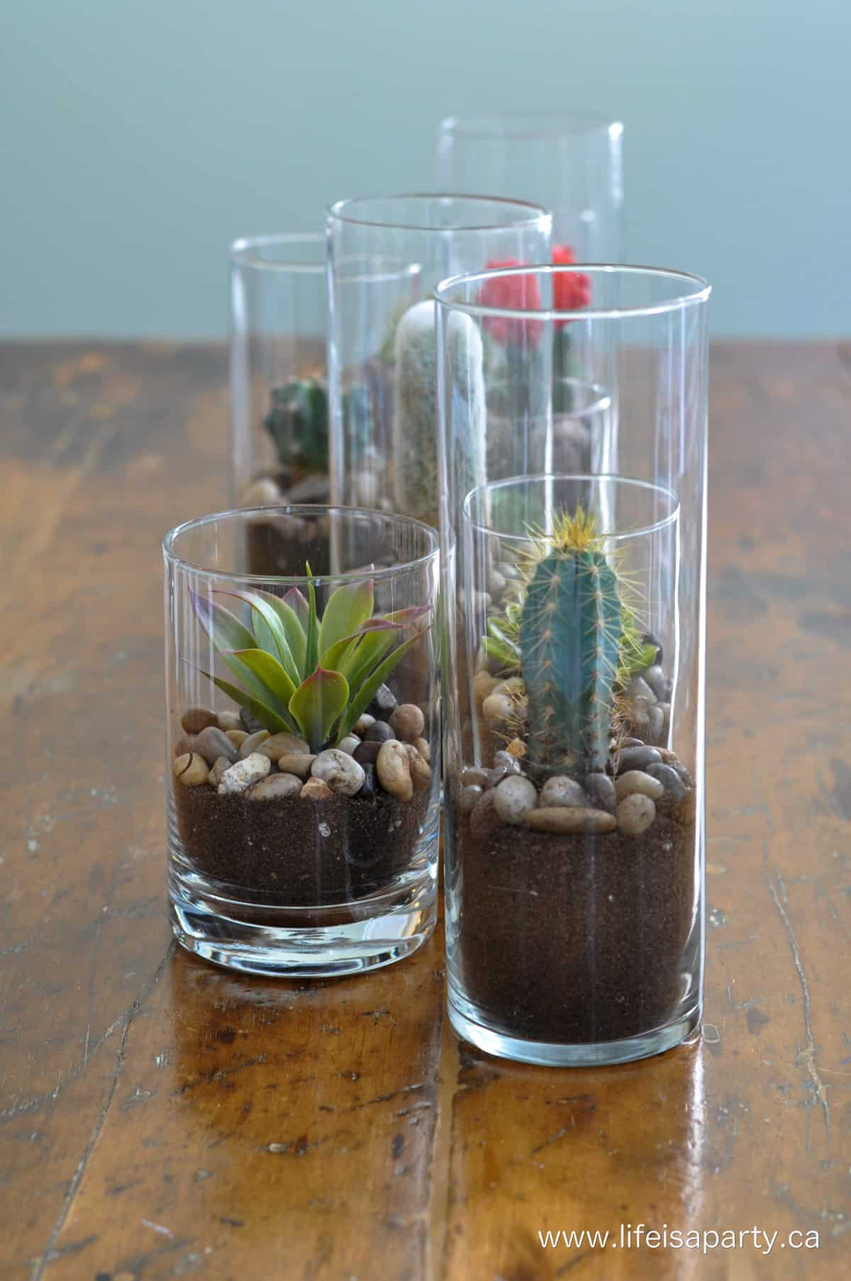 How to make your fake faux succulent plants look realistic.