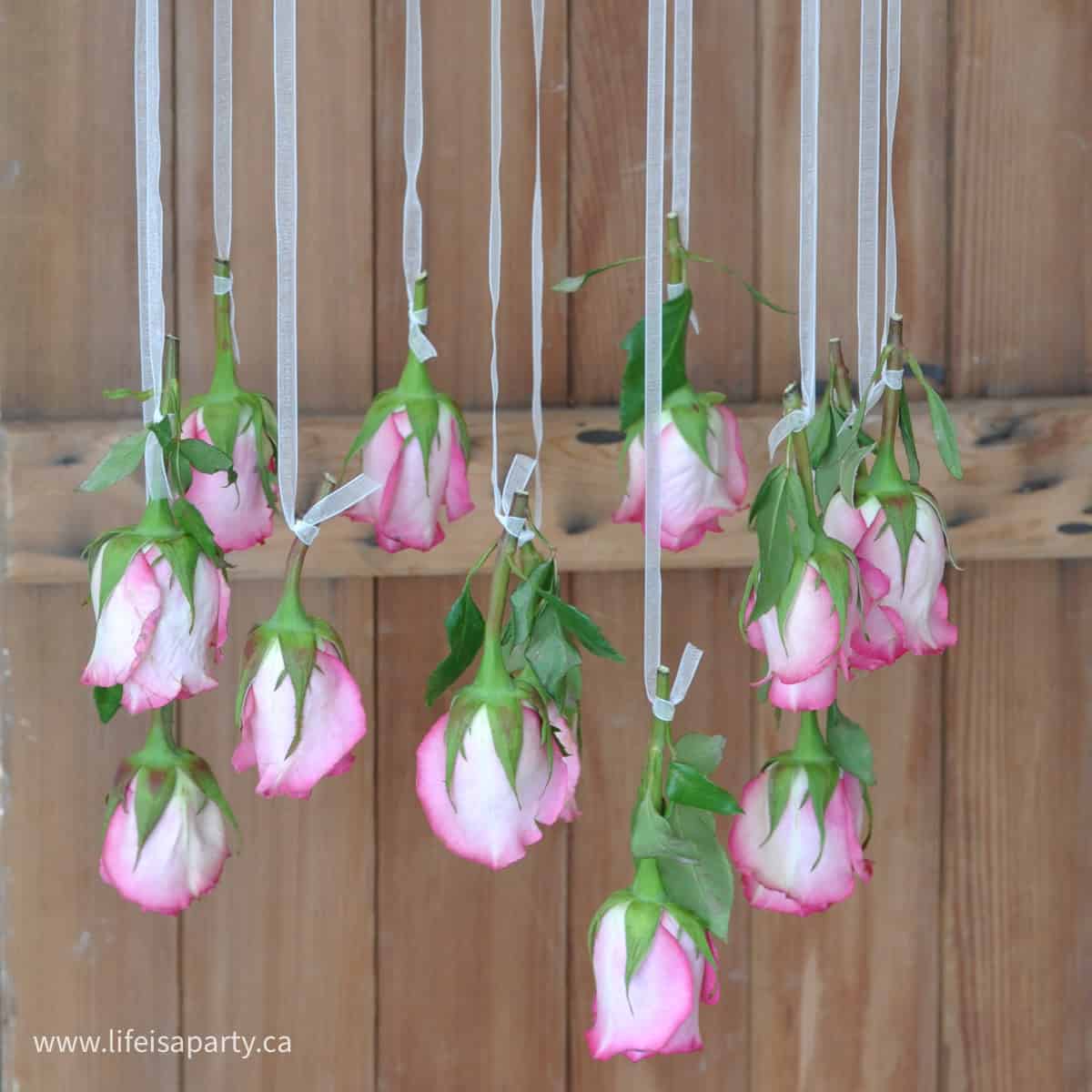 DIY fresh flower chandelier.