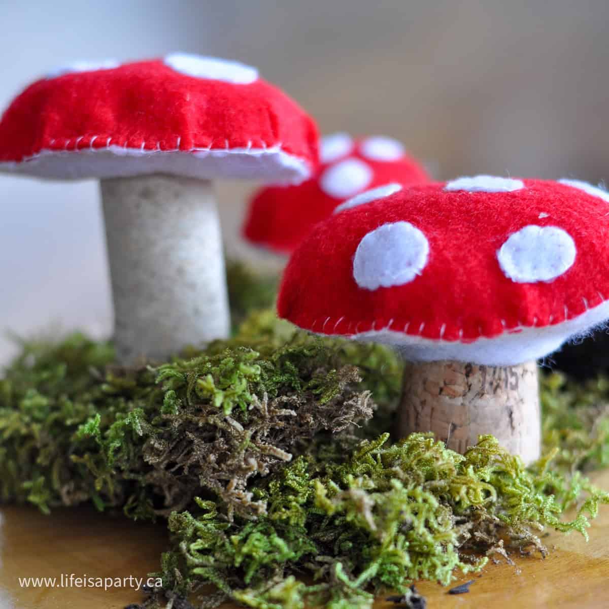 DIY felt mushrooms.