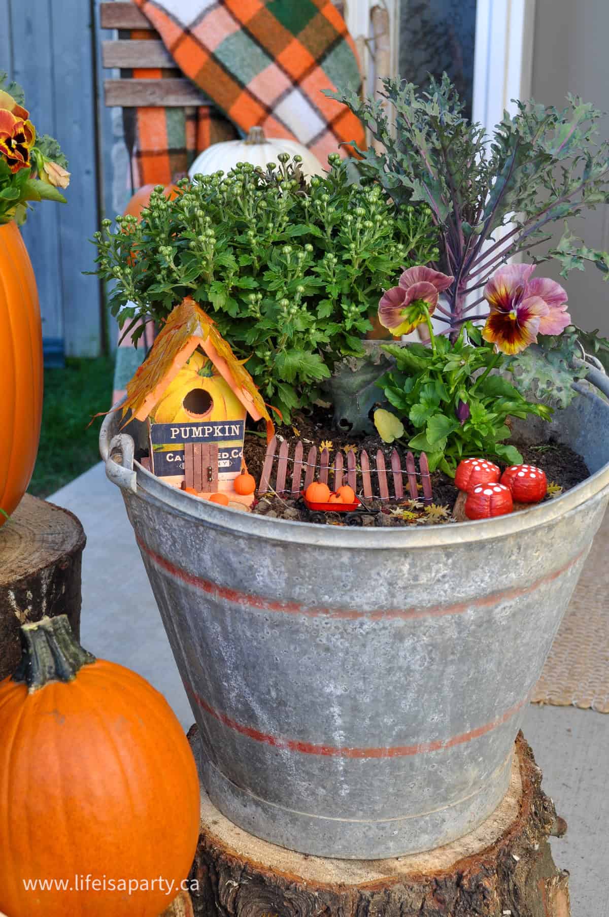 Fall fairy garden.