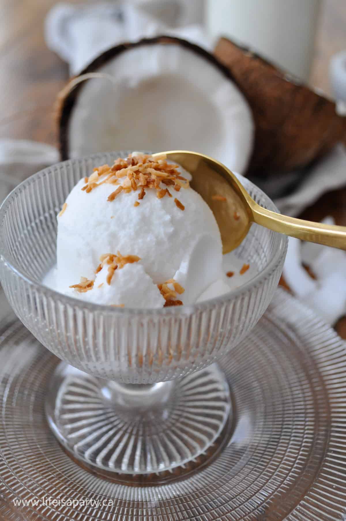 Easy 3 ingredient coconut ice cream recipe.