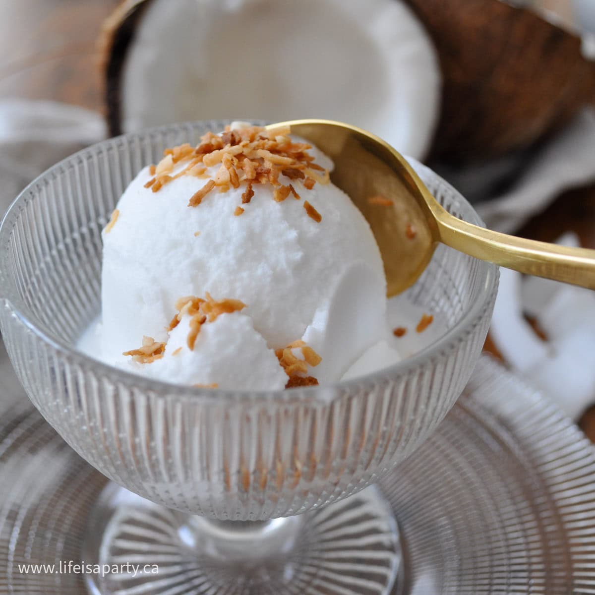 Easy 3 ingredient coconut ice cream recipe.