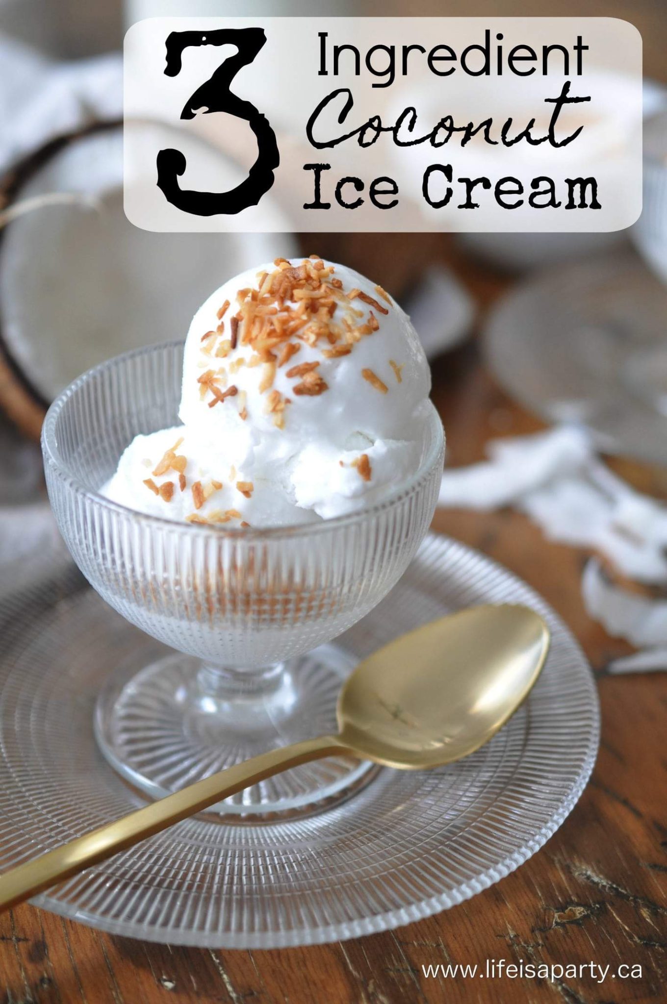 Three Ingredient Coconut Ice Cream 3164