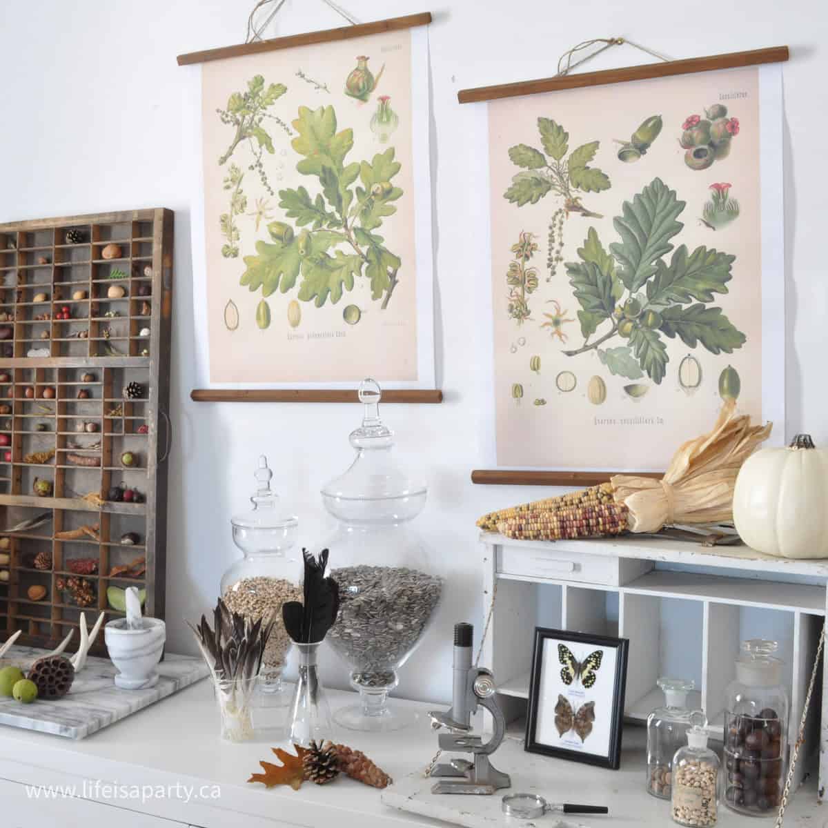 Fall home decor ideas.