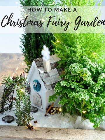 How To Make A Christmas Fairy Garden: Learn how to use real live plants to create an indoor Christmas Fairy Garden with a house and scenery.