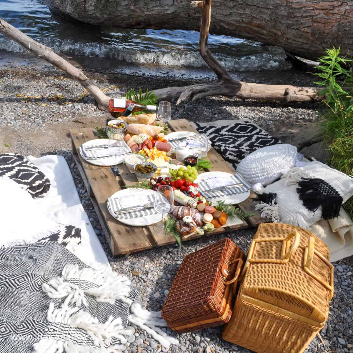 French themed charcuterie picnic