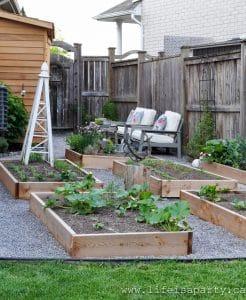 How To Make A Potager Garden - Life is a Party