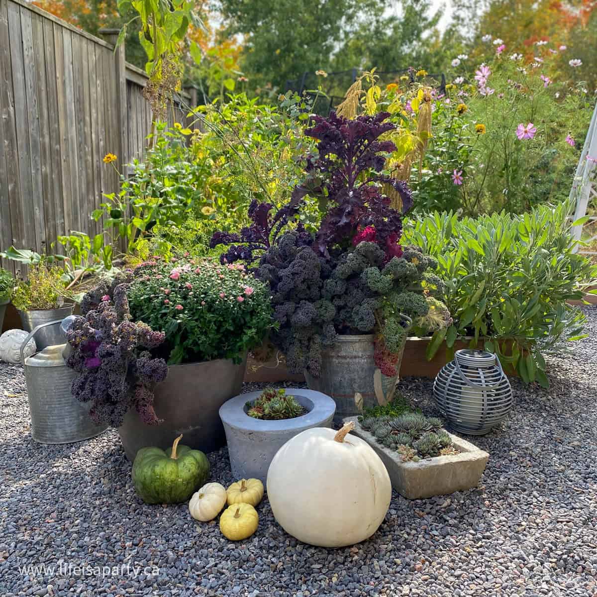 fall garden ideas