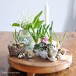 eggshell planter