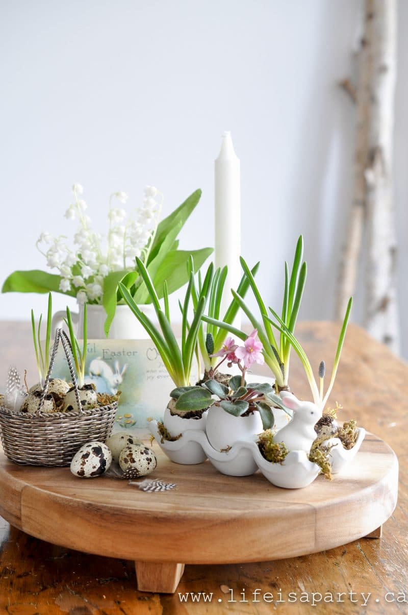 Easy DIY Eggshell Planters - Life is a Party