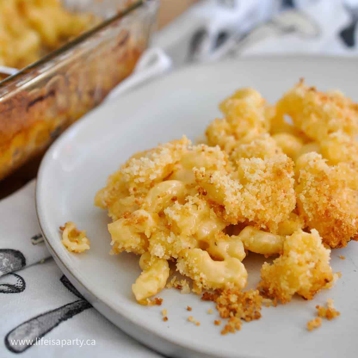 Mac and cheese with panko breadcrumb topping.