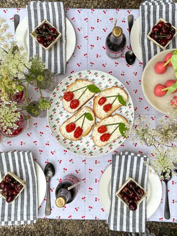 cherry themed party ideas picnic