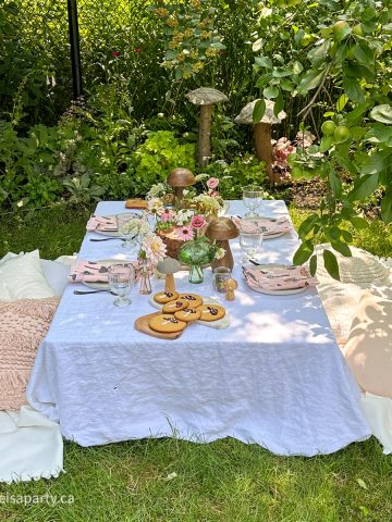 Mushroom themed party picnic