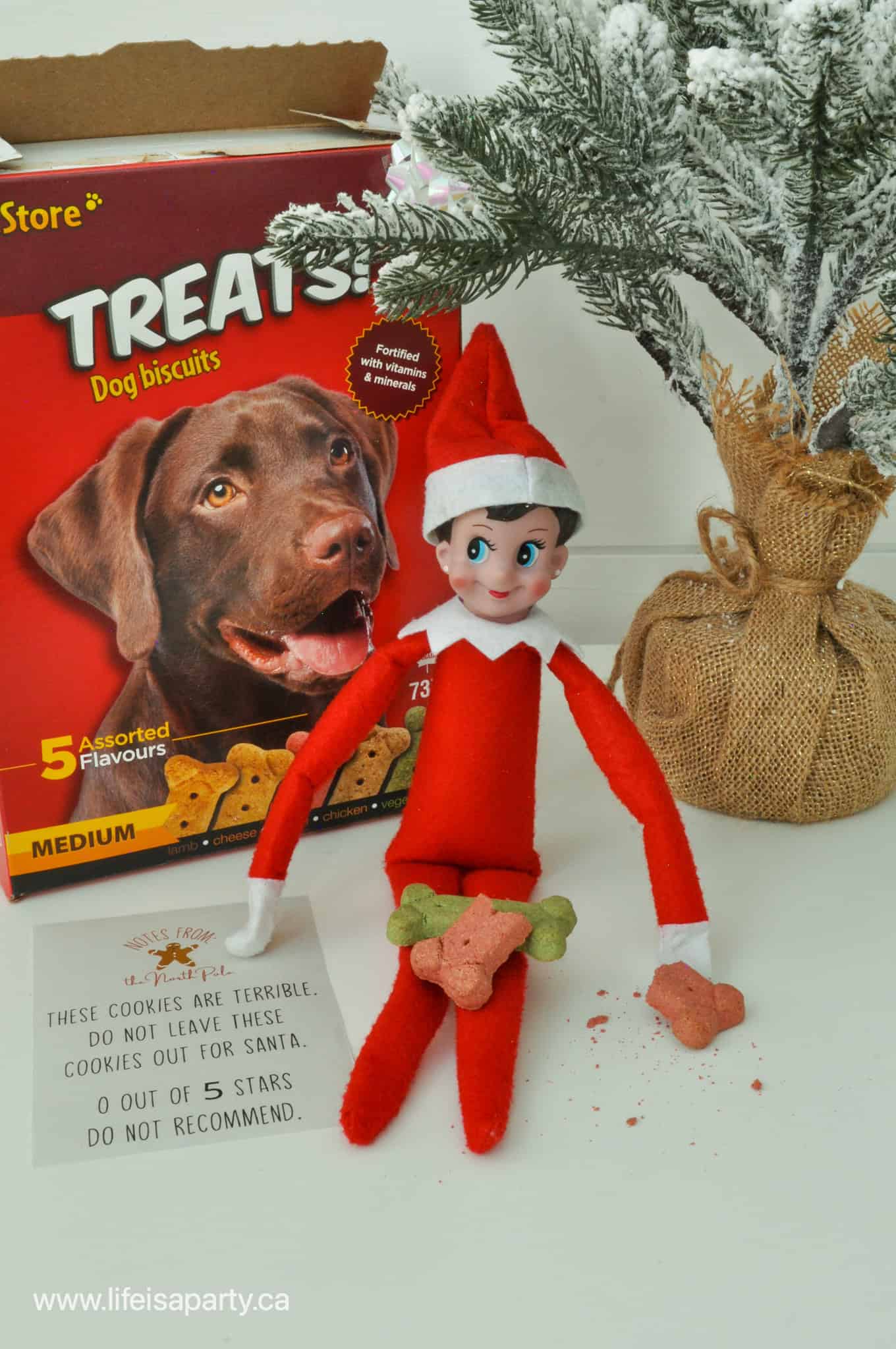 Elf on the shelf dog treat cookie idea and free printable.